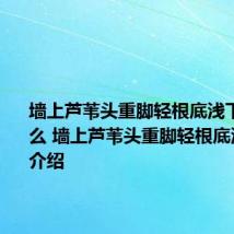 墙上芦苇头重脚轻根底浅下句是什么 墙上芦苇头重脚轻根底浅意思思介绍