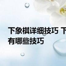 下象棋详细技巧 下象棋有哪些技巧