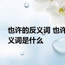 也许的反义词 也许的反义词是什么