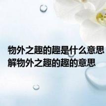 物外之趣的趣是什么意思 怎么理解物外之趣的趣的意思