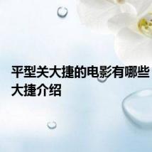平型关大捷的电影有哪些 平型关大捷介绍