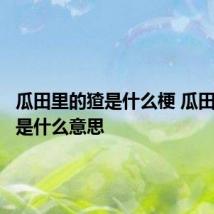 瓜田里的猹是什么梗 瓜田里的猹是什么意思
