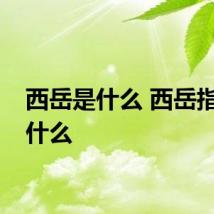 西岳是什么 西岳指的是什么