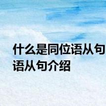 什么是同位语从句 同位语从句介绍