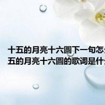 十五的月亮十六圆下一句怎么说 十五的月亮十六圆的歌词是什么