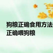 狗粮正确食用方法 怎么正确喂狗粮