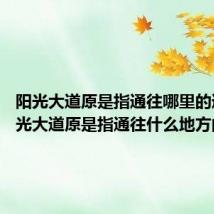 阳光大道原是指通往哪里的道路 阳光大道原是指通往什么地方的道路