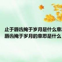 止于唇齿掩于岁月是什么意思 止于唇齿掩于岁月的意思是什么