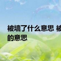 被墙了什么意思 被墙了的意思