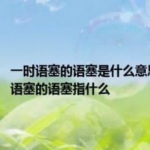 一时语塞的语塞是什么意思 一时语塞的语塞指什么