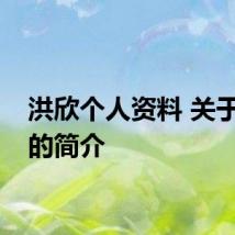 洪欣个人资料 关于洪欣的简介