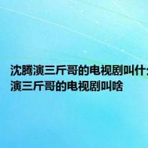 沈腾演三斤哥的电视剧叫什么 沈腾演三斤哥的电视剧叫啥