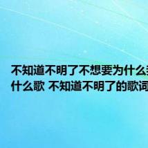 不知道不明了不想要为什么我的心什么歌 不知道不明了的歌词是什么