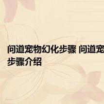 问道宠物幻化步骤 问道宠物幻化步骤介绍