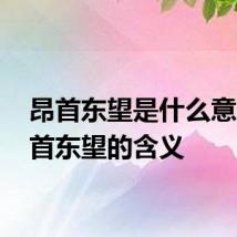 昂首东望是什么意思 昂首东望的含义