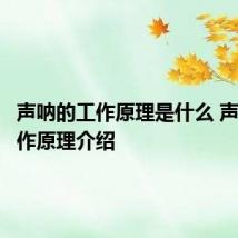 声呐的工作原理是什么 声呐的工作原理介绍