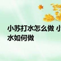 小苏打水怎么做 小苏打水如何做