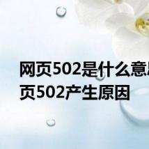网页502是什么意思 网页502产生原因