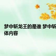 梦中斩龙王的是谁 梦中斩龙王具体内容