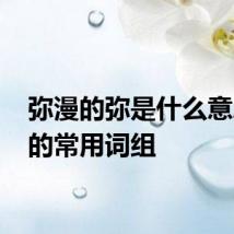 弥漫的弥是什么意思 弥的常用词组