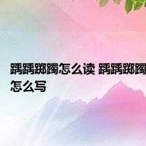 踽踽踯躅怎么读 踽踽踯躅的拼音怎么写