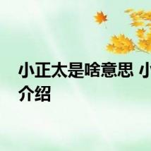 小正太是啥意思 小正太介绍