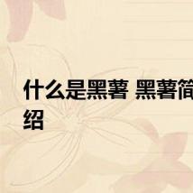 什么是黑薯 黑薯简单介绍