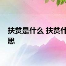 扶贫是什么 扶贫什么意思