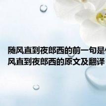 随风直到夜郎西的前一句是什么 随风直到夜郎西的原文及翻译