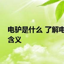 电驴是什么 了解电驴的含义