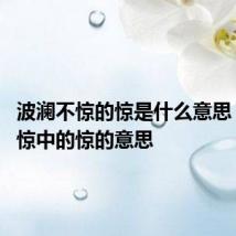 波澜不惊的惊是什么意思 波澜不惊中的惊的意思
