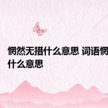 惘然无措什么意思 词语惘然无措什么意思