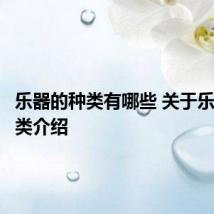 乐器的种类有哪些 关于乐器的种类介绍
