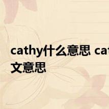 cathy什么意思 cathy中文意思