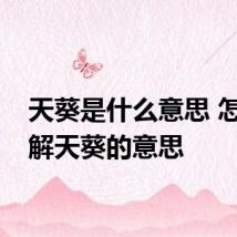 天葵是什么意思 怎么理解天葵的意思