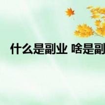 什么是副业 啥是副业