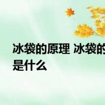 冰袋的原理 冰袋的原理是什么