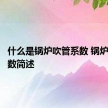 什么是锅炉吹管系数 锅炉吹管系数简述