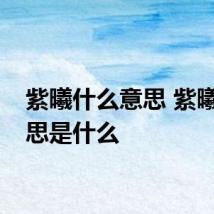 紫曦什么意思 紫曦的意思是什么