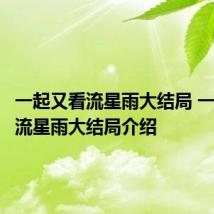 一起又看流星雨大结局 一起又看流星雨大结局介绍