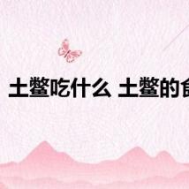 土鳖吃什么 土鳖的食物
