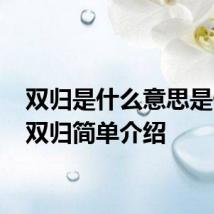 双归是什么意思是什么 双归简单介绍