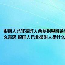眼前人已非彼时人两两相望唯余失望是什么意思 眼前人已非彼时人是什么意思