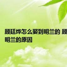 顾廷烨怎么娶到明兰的 顾廷烨娶明兰的原因