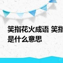 笑指花火成语 笑指花火是什么意思