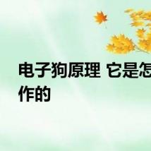 电子狗原理 它是怎么工作的