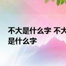 不大是什么字 不大应该是什么字
