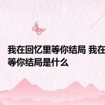 我在回忆里等你结局 我在回忆里等你结局是什么