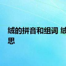 绒的拼音和组词 绒的意思