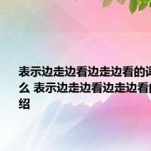 表示边走边看边走边看的词语是什么 表示边走边看边走边看的词语介绍